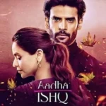 Aadha Ishq Web Series