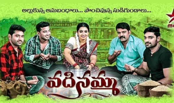Vadinamma Serial Cast