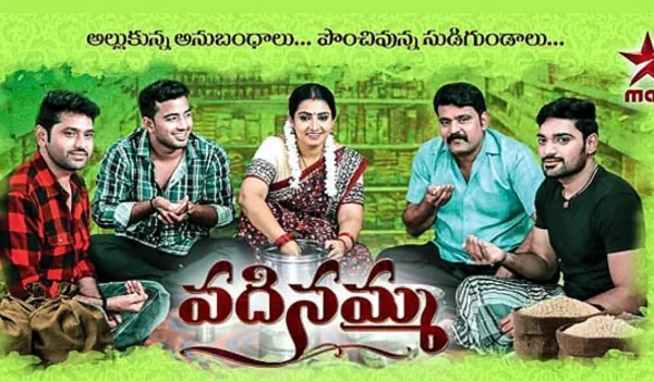 Vadinamma Serial Cast