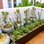 Rooftop Garden