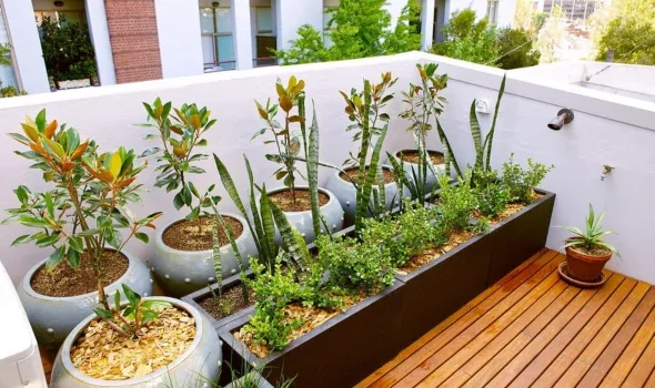 Rooftop Garden