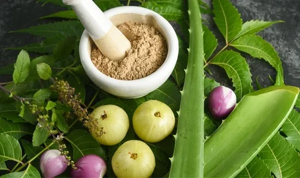 Ayurvedic Remedies for Hair Fall in India 1