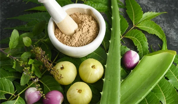 Ayurvedic Remedies for Hair Fall in India 1